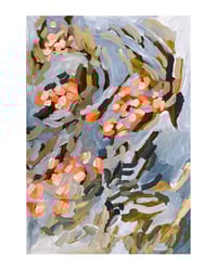 Image 2 of flowering gum | 