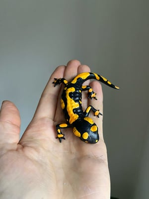 Fire Salamander Painted Model