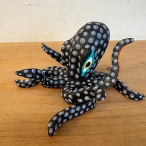 Image of Black beauty 