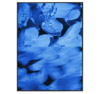 Image 6 of BLUE FLOWERS 