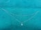 Image of Dainty Double Strand