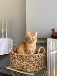 Image 6 of Panier tressé (3 tailles disponibles)