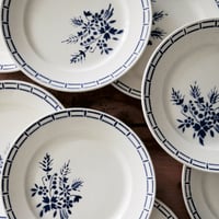 Image 2 of  Assiettes plates et creuses Badonviller