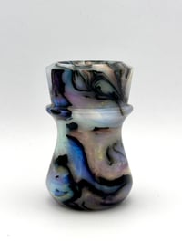 Image 4 of Abalone--- copy