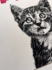 Image 3 of PLAYFUL Kittens