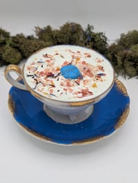 Image 3 of It's Giving Shells 