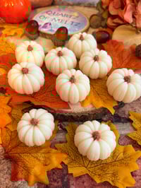 Marshmallow & Madagascan Vanilla Pumpkin