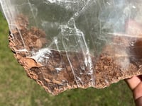 Image 14 of Transparent Selenite Slab #2262