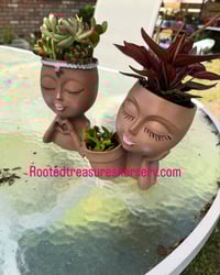 Image 4 of Ebony Face Planters with plant