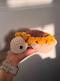 Image 3 of Sunflower Turtle