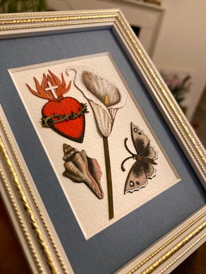 Image of Shell Framed Original