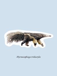 Image 16 of Stickers
