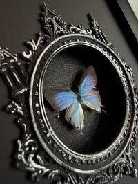 Image 2 of Depth effect cathedral 