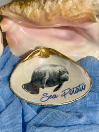 Image 2 of Sea Potato Clam Shell Trinket Dish