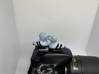 Image 1 of Rock Pigeon Hotshoe Cover