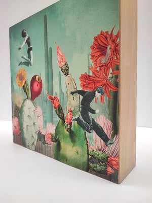 Image of Saltadores de Cactus.