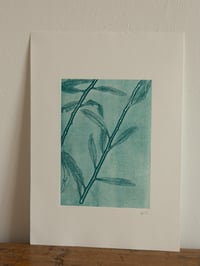 Image 2 of Willow Ghost Print A4 - Original Botanical Monoprint