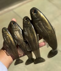 Image 3 of Roma Trout - Carp Shiner