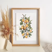 Image 1 of lemon branch (ver. 2)