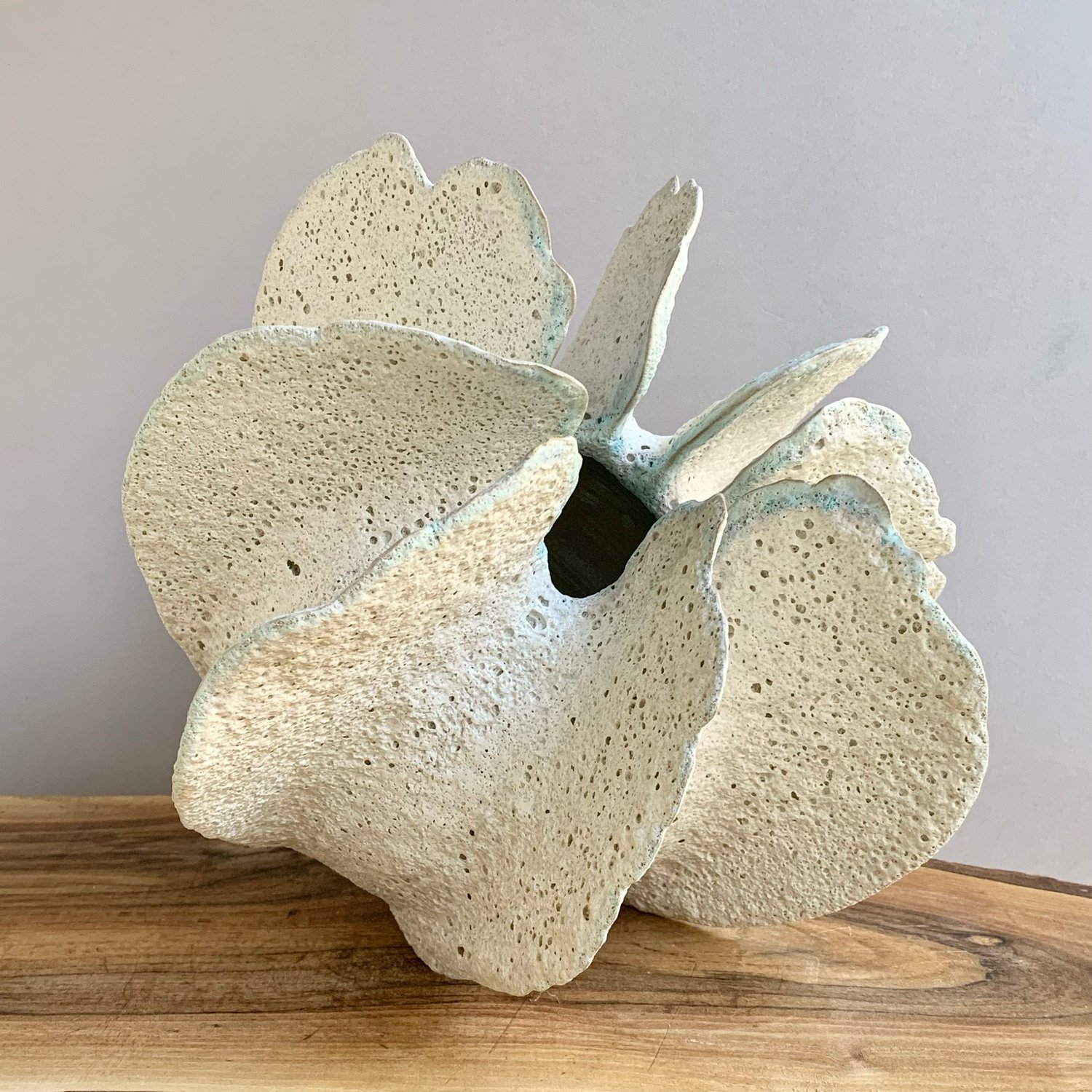 Image of Seaflower 2