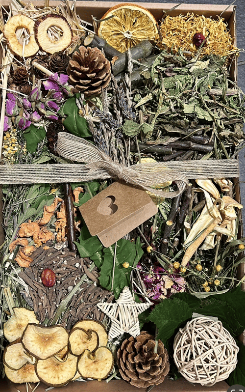 Image of ❤️VALENTINES SPECIAL❤️ MYSTERY KRAFT TRAY FILLED WITH FRESH FORAGE, TREATS AND ENRICHMENT