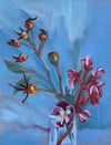 Rosehips, Viola & Elephant Ear