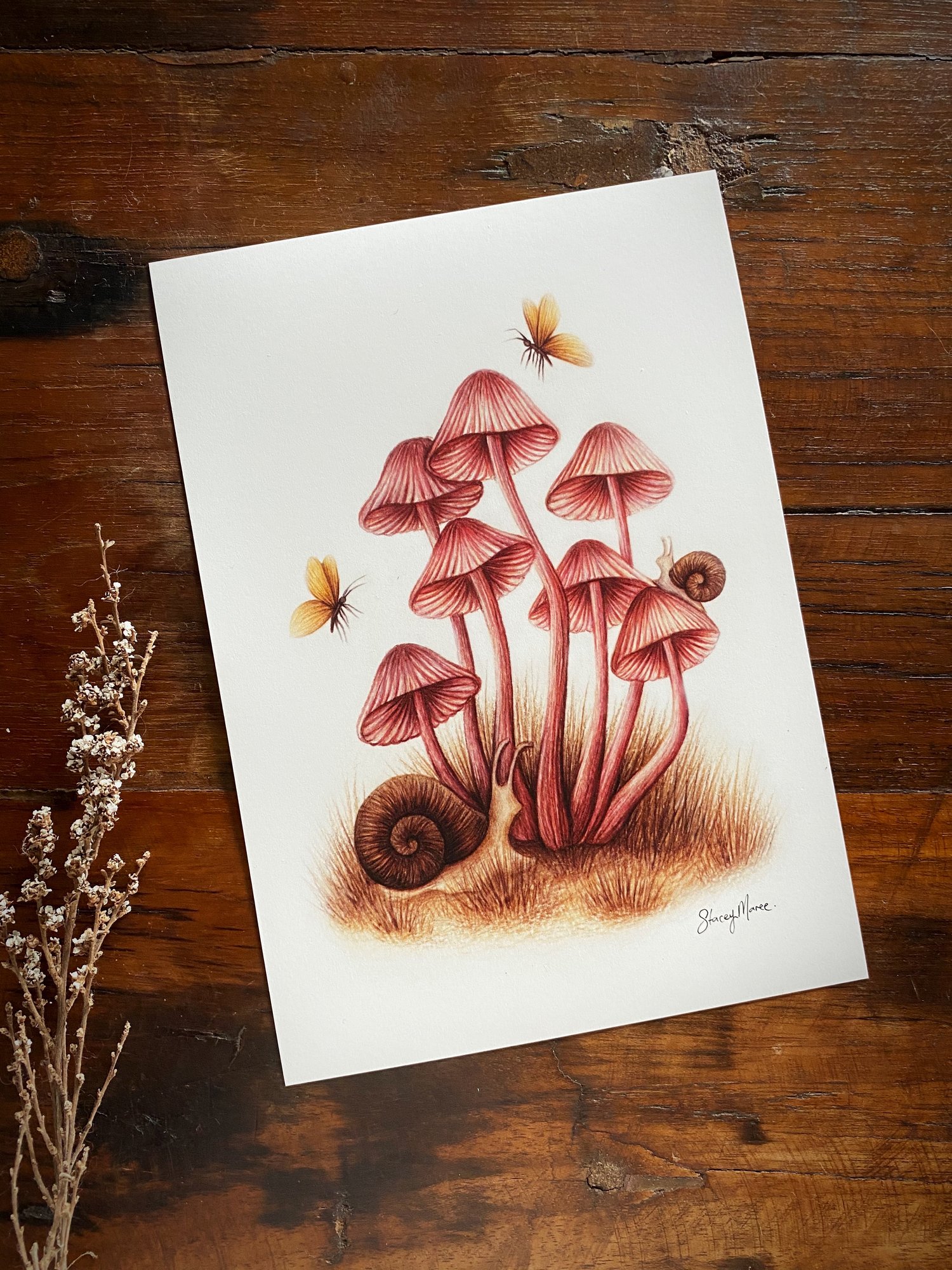 Image of Autumn Cluster - Fine Art Giclée Print