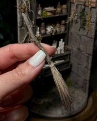 Image 9 of The Witch’s Apothecary