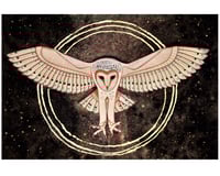 Image 1 of “Barn Owl” by Zasha Welsh