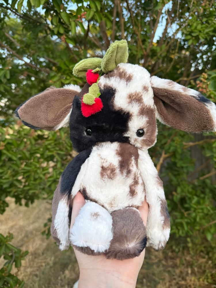 Image of garden dweller relist