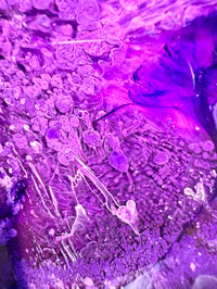 Image 3 of TRAY #1
