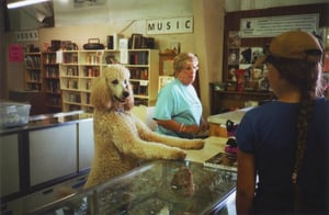 Image of Poodle Thrift