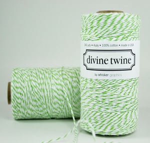 Image of Baker's Twine: Green Apple