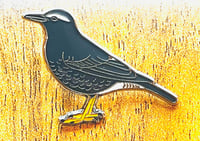 Image 2 of Siberian Thrush - No.153 - UK Birding Pins