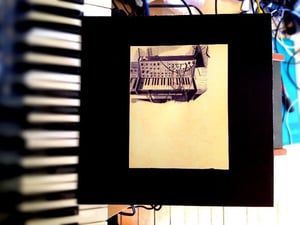 Image of Supermalprodelica & Discipline split