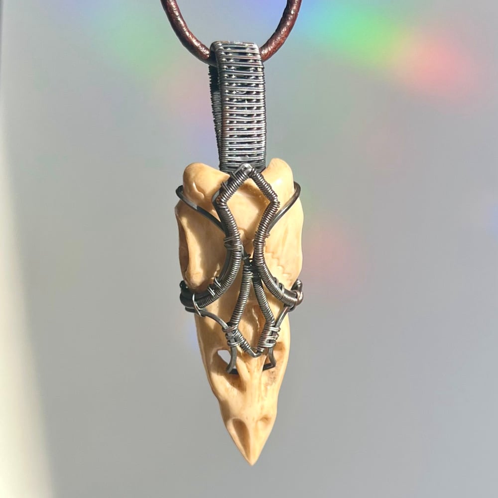 Image of Bone & Coil - Carved Skull Pendant