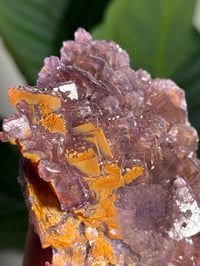 Image 3 of NATURAL RAINBOW IRIDESCENT CUBIC FLUORITE -CHINA- C