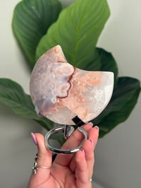 Image 1 of HQ FLOWER AGATE MOON -MADAGASCAR- 