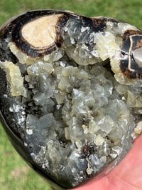 Image 16 of Septarian Nodule Polished Freeform With UV Calcite Inclusions| Madagascar #2893