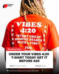 Image 3 of VIBES 420 T-Shirt 