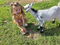Image 6 of Sing and Dance with Ms. Rachel, touch baby animals, story time, MORE! 