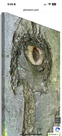 Image 3 of Eye Spy 