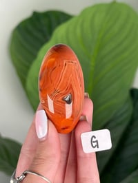 Image 7 of CARNELIAN SHIVAS