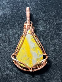 Bumblebee Jasper