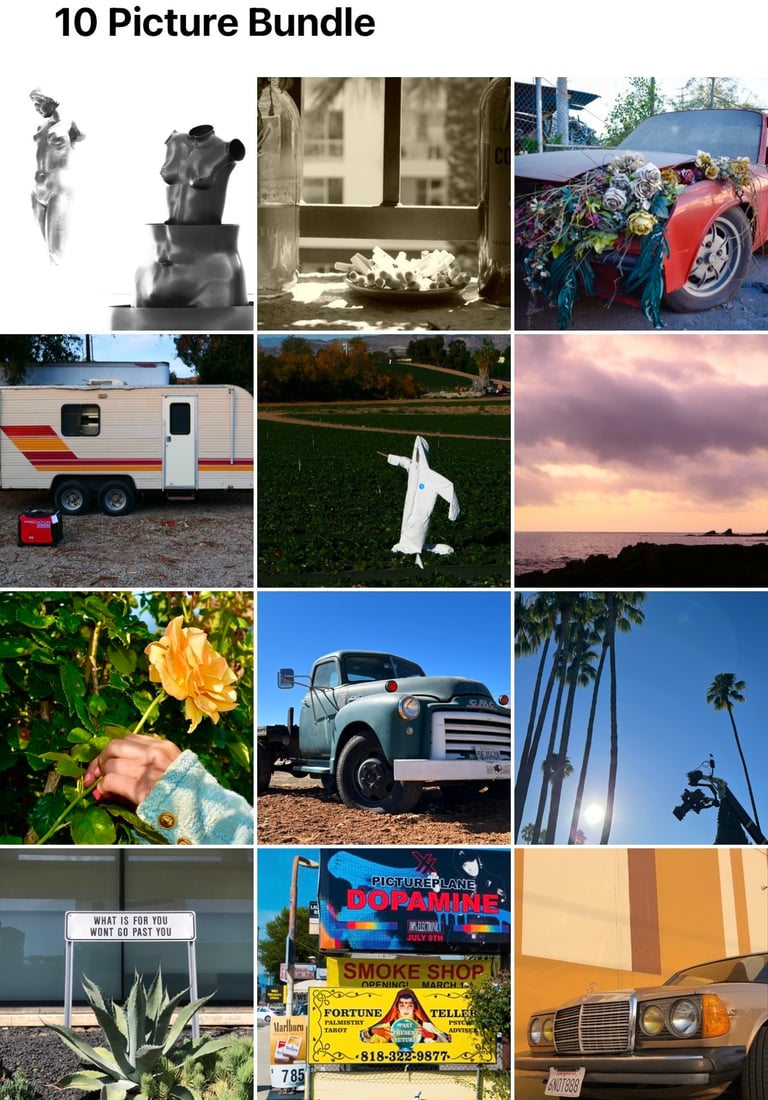 12 Picture Bundle