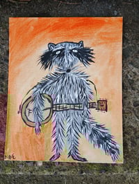 Image 4 of Raccoon 