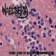 Image of Naegleria's "Some Kind of Brain Eating Amoeba" EP