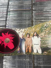 Image 3 of SIGNED Meatbodies - Alice CD / no COA