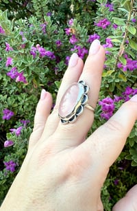 Image 5 of The Camellia (9)