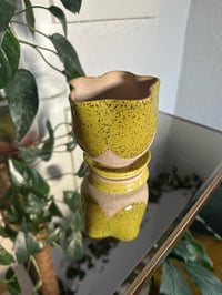 Image 4 of Tulip Planters